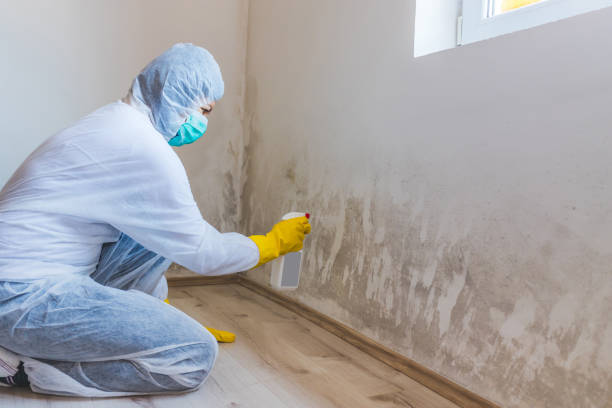 Crawl Space Mold Removal in De Graff, OH
