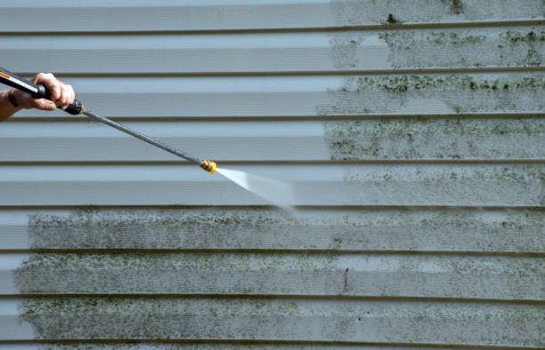 Best Local Mold Removal Service  in De Graff, OH