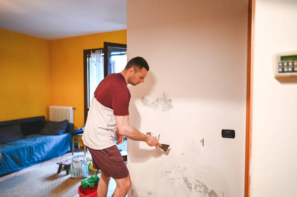 De Graff, OH Mold Removal Company